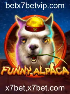 Explorando o Mundo Fascinante de FunnyAlpaca